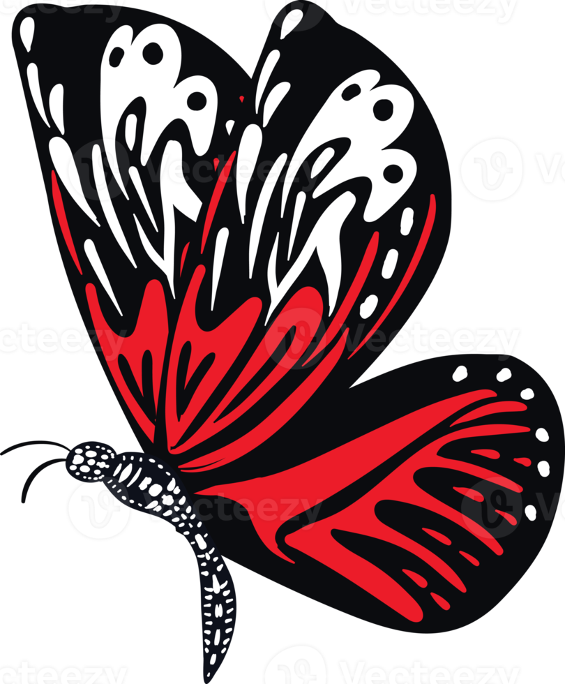 Elegant exotic butterflies colorful wings decorative png