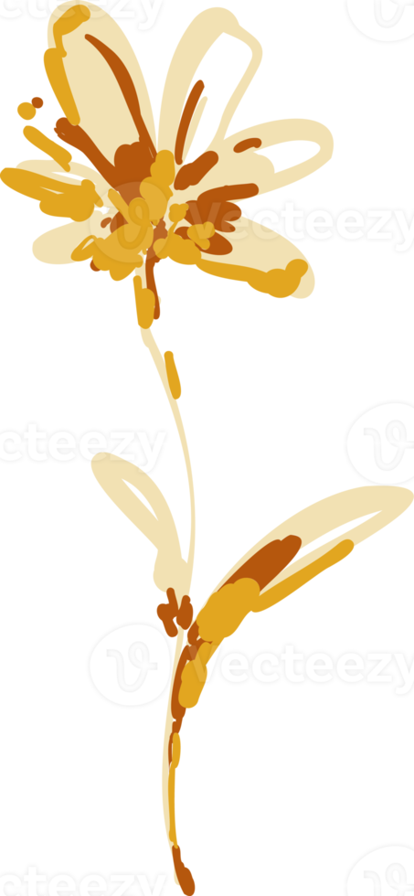 Hand drawn Meadow wild flower and leaves png