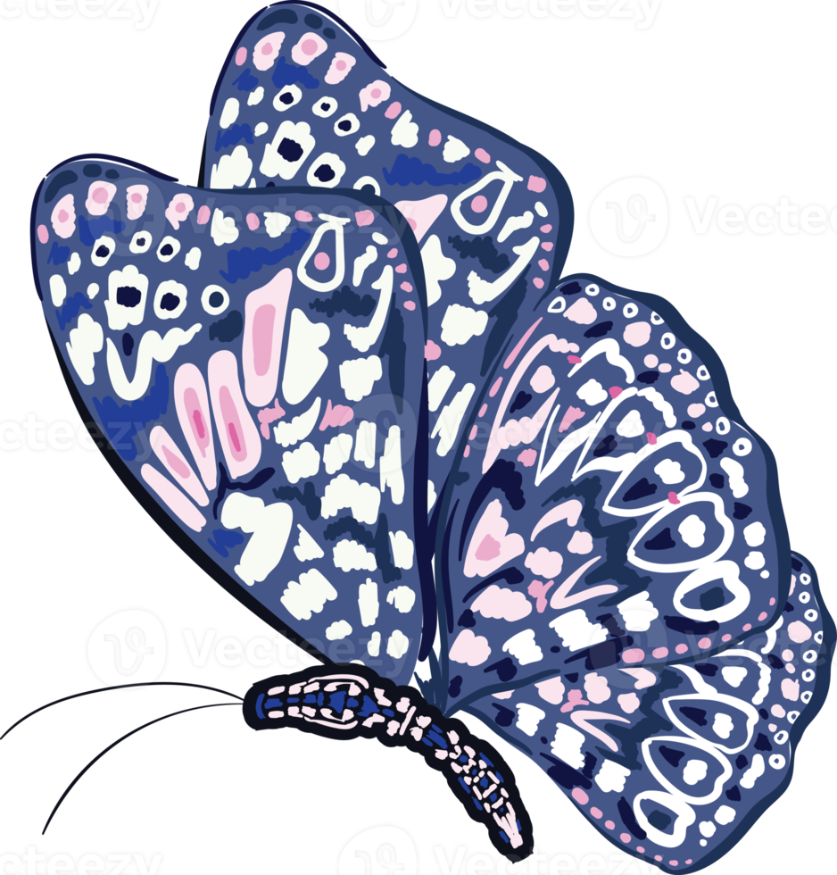 Elegant exotic butterflies colorful wings decorative png