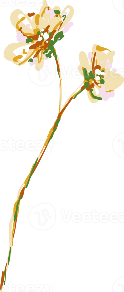 Hand drawn Meadow wild flower and leaves png