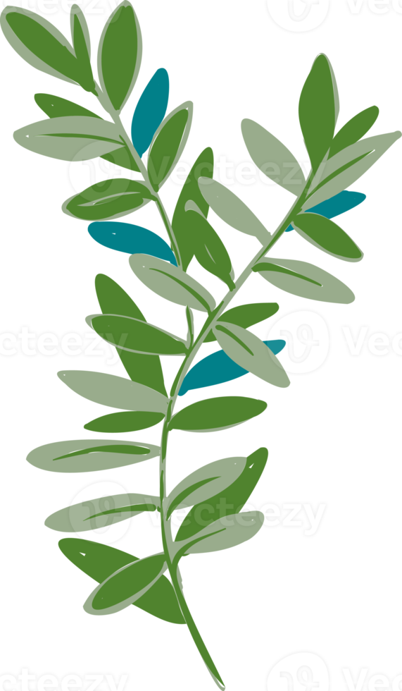 Hand drawn Meadow wild flower and leaves png
