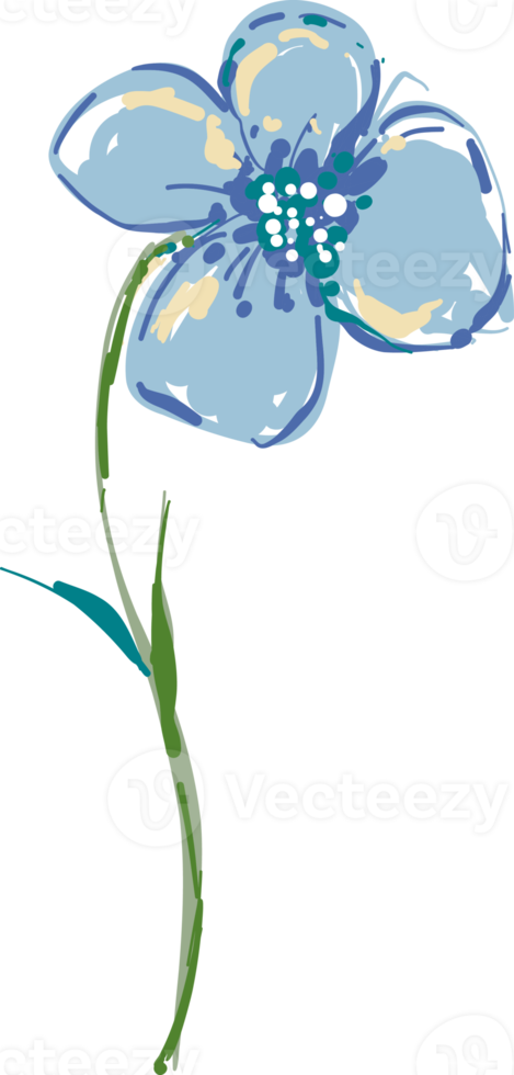 hand gezeichnete wilde blumen und blätter der wiese png