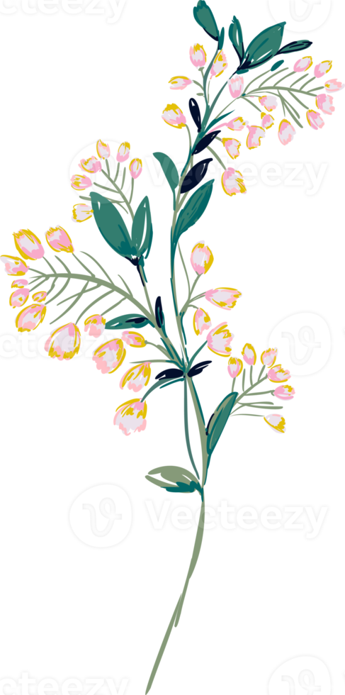 Hand drawn Meadow wild flower and leaves png