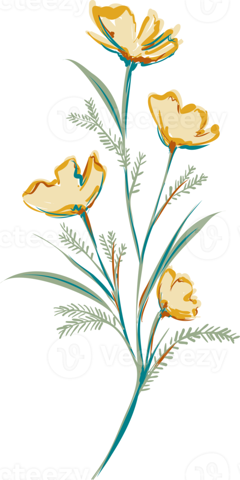 Hand drawn Meadow wild flower and leaves png