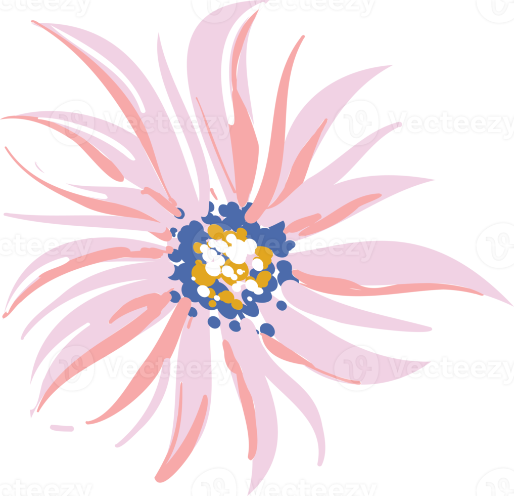 Hand drawn Meadow wild flower and leaves png