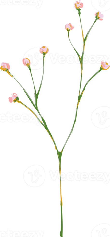 handgetekende weide wilde bloemen en bladeren png