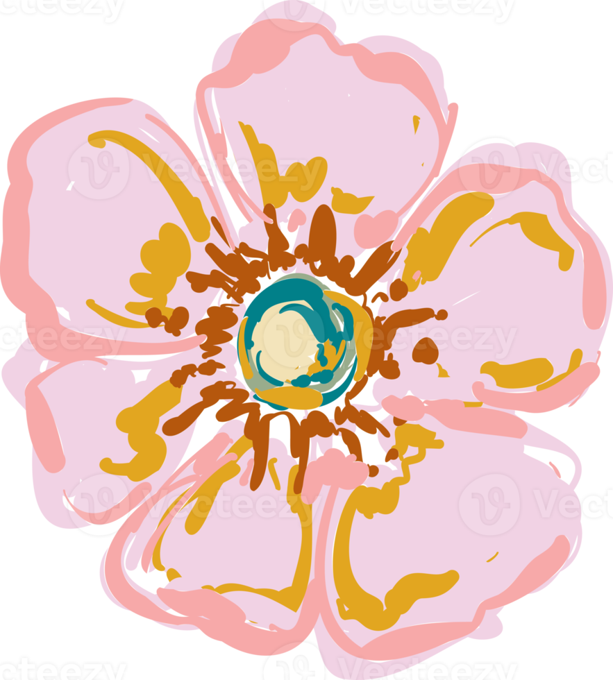 Hand drawn Meadow wild flower and leaves png