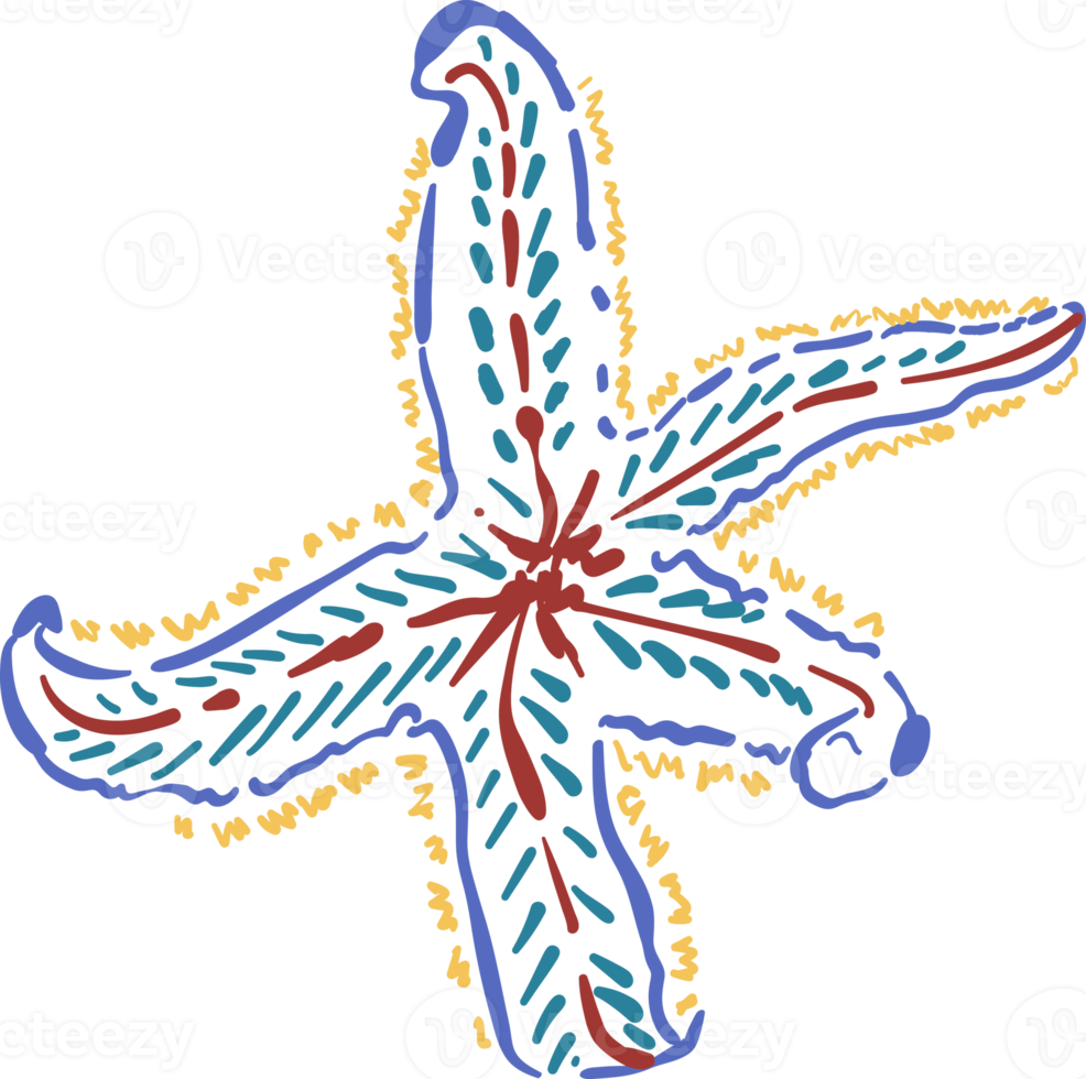 Hand drawn line sketch sea life illustration png