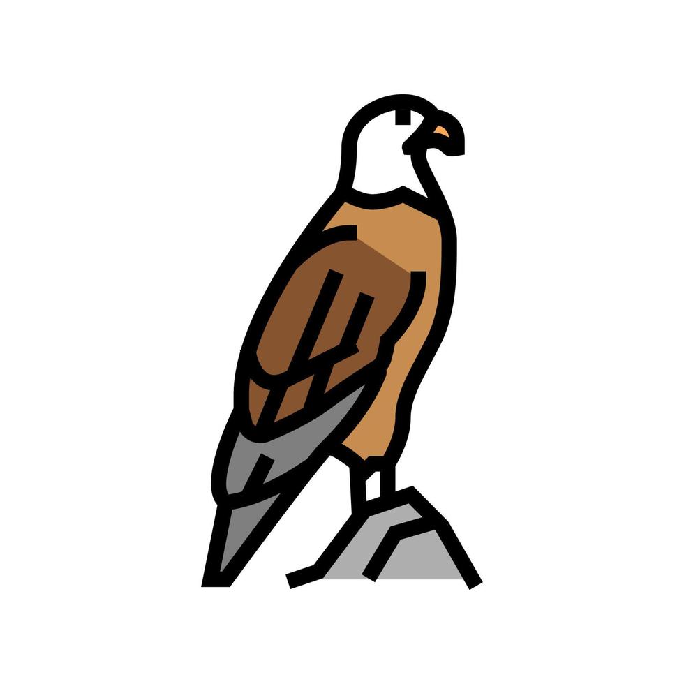 águila, pájaro, en, zoo, color, icono, vector, ilustración vector