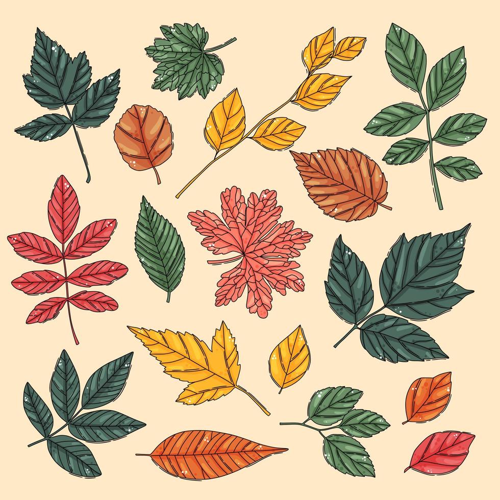 conjunto de hojas de otoño. hojas de arbol de colores vector