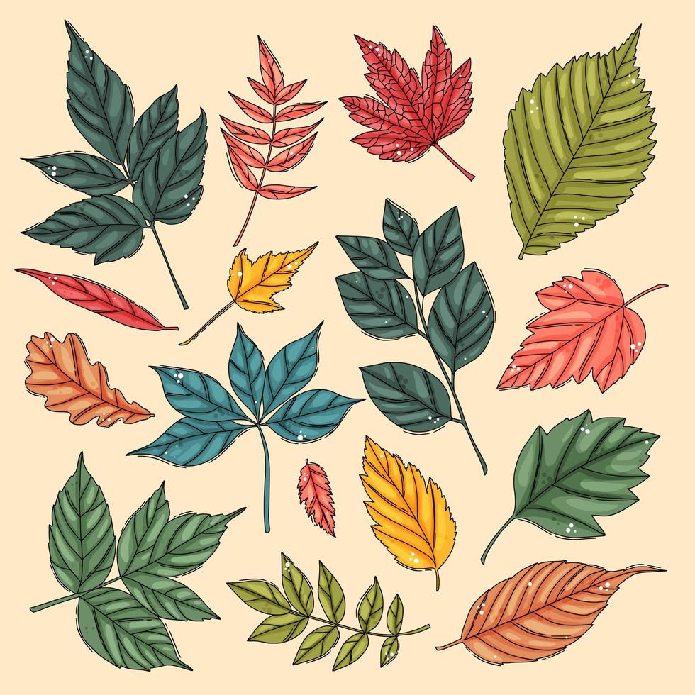 Autumn leaf set. Coloured tree leaves vector