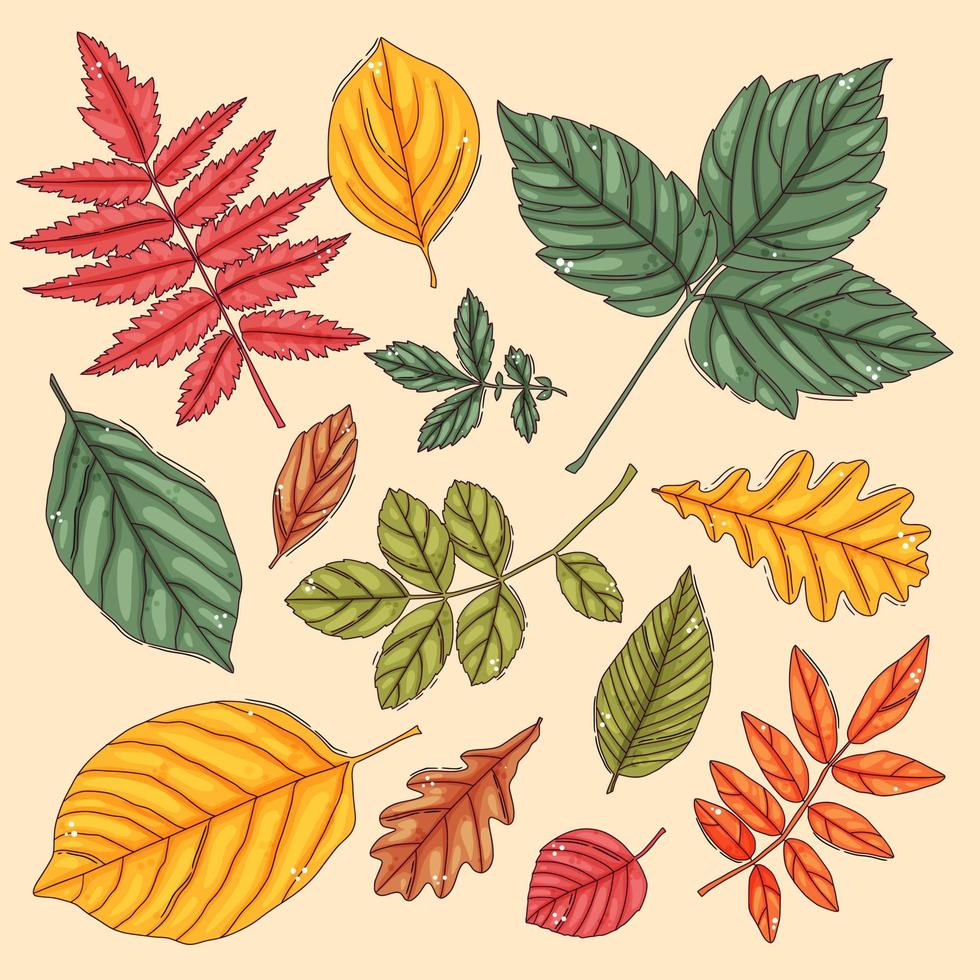 conjunto de hojas de otoño. hojas de arbol de colores vector