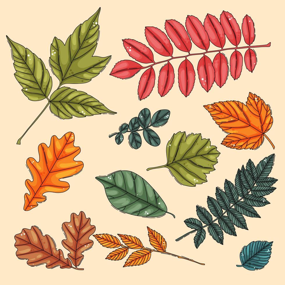 Autumn leaf set. Coloured tree leaves vector