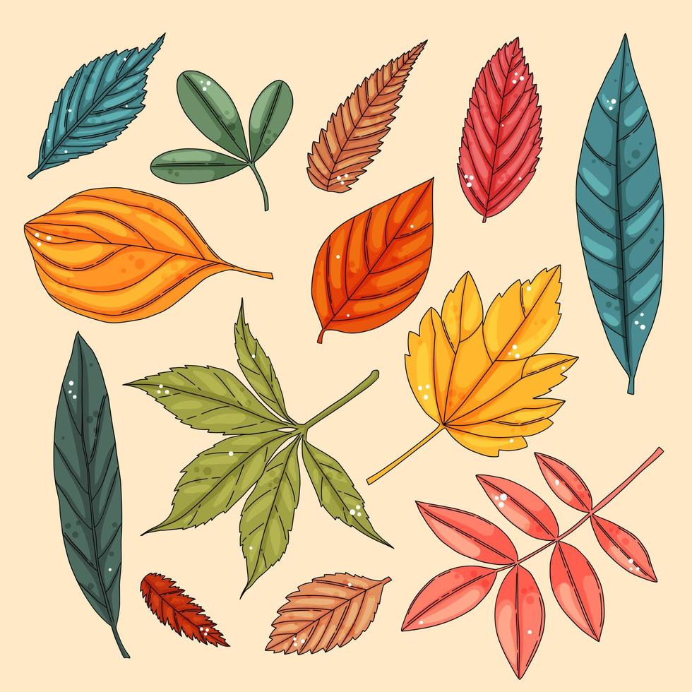 Autumn leaf set. Coloured tree leaves vector
