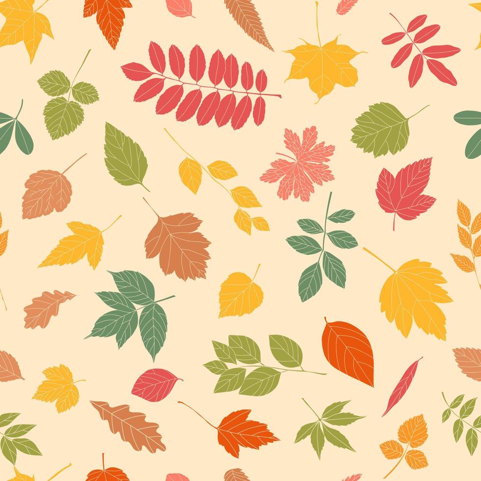 Autumn leaf seamless pattern. vector