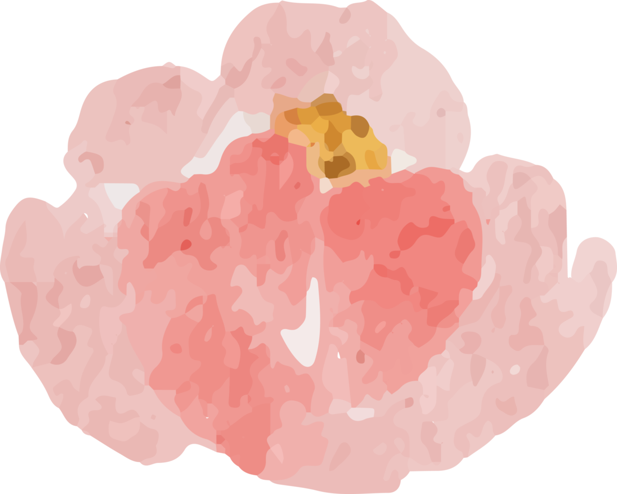 elementi di bouquet di rose colorate ad acquerello sciolto ed elementi di bouquet di fiori selvatici png