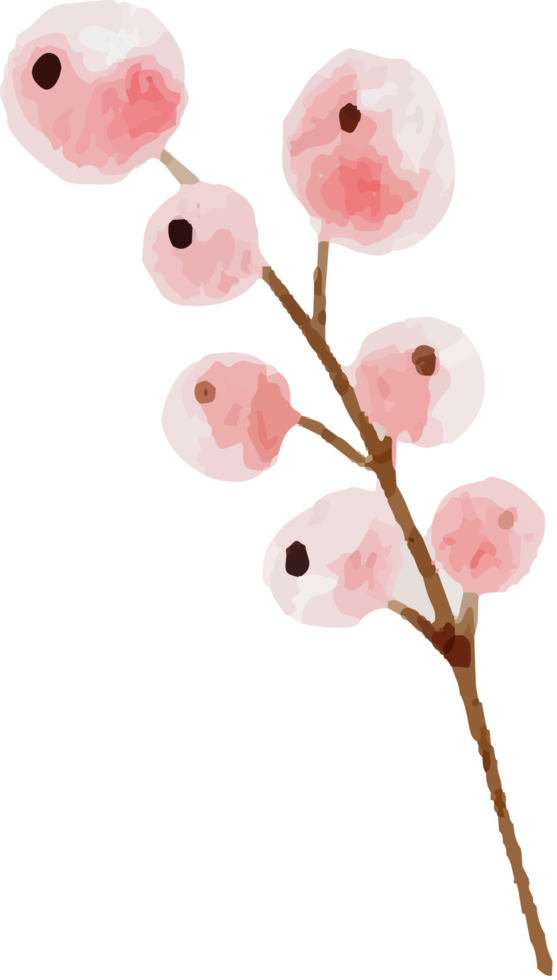 losse aquarel kleurrijke rozen en wilde bloemen boeket elementen png