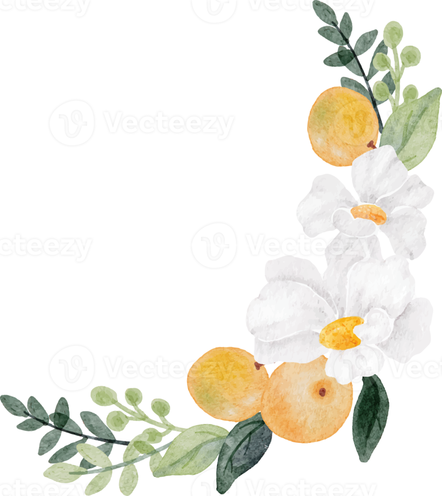 aquarelle fleur blanche et bouquet de fruits orange png