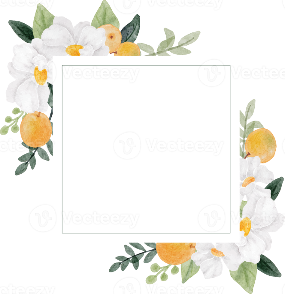 aquarell weiße blume und orange obst kranz rahmen banner hintergrund png