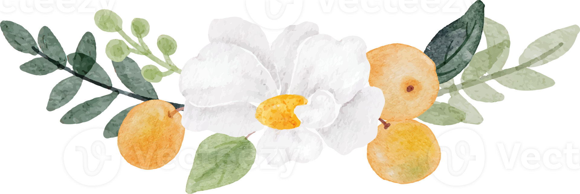 ramo de flores blancas acuarela y frutas naranjas png