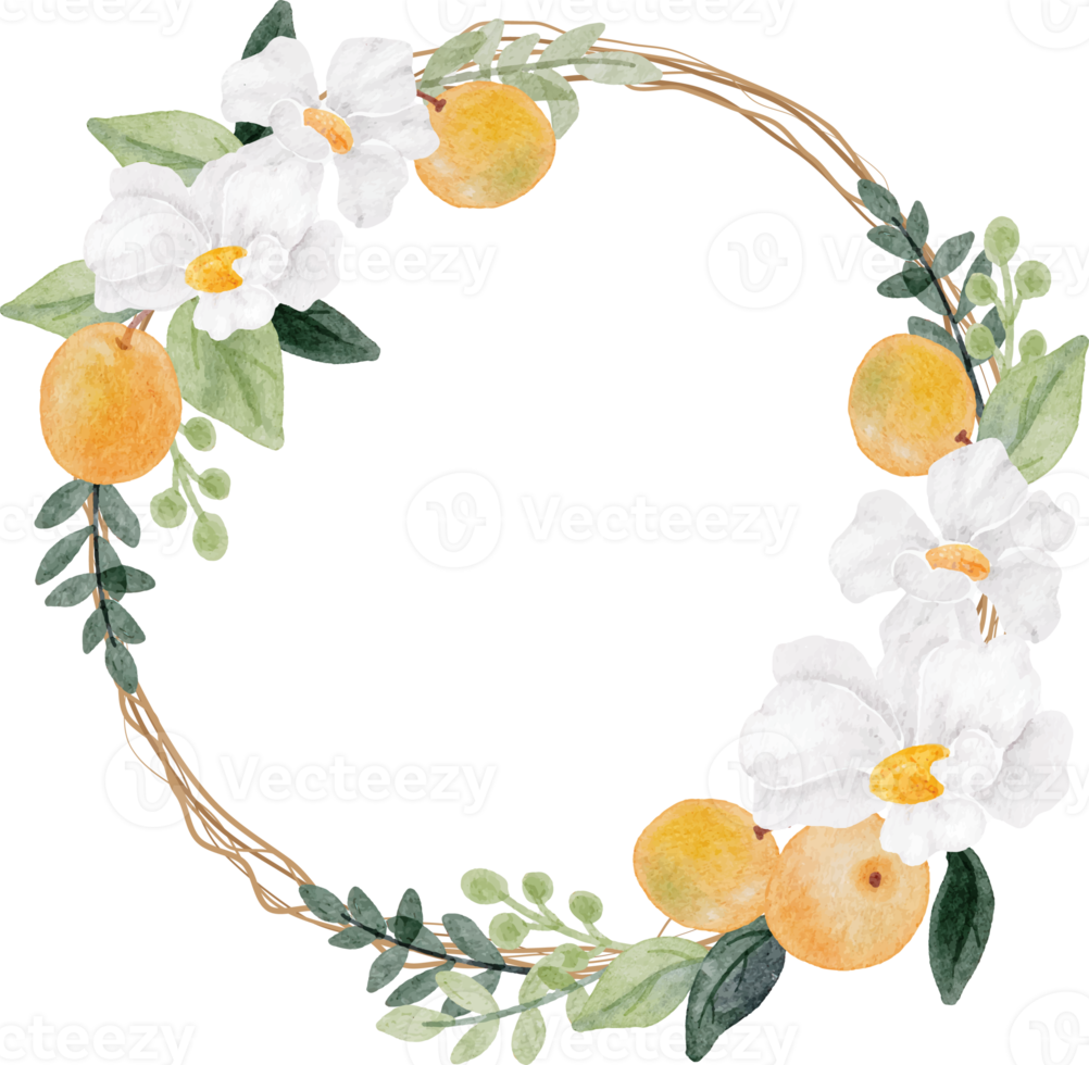 akvarell vit blomma och orange frukt krans ram png