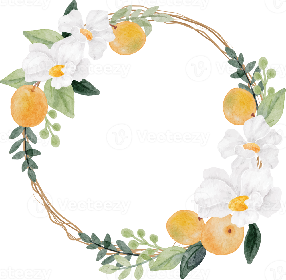 aquarell weiße blume und orangefarbener fruchtkranzrahmen png