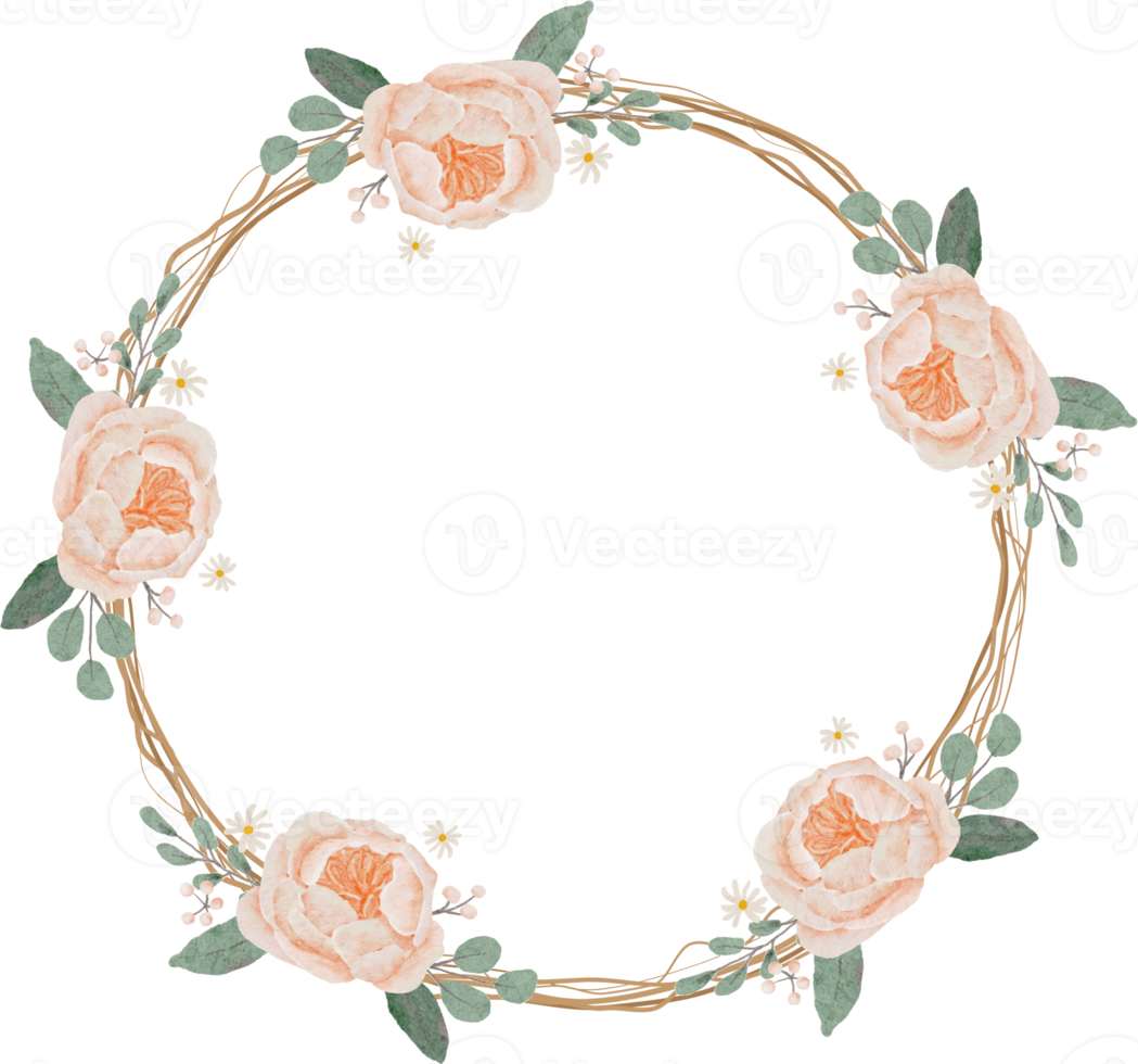 watercolor blooming english orange peach rose branch with dry twig flower bouquet wreath round frame png