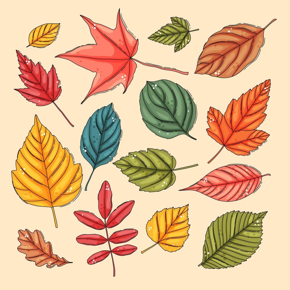 conjunto de hojas de otoño. hojas de arbol de colores vector