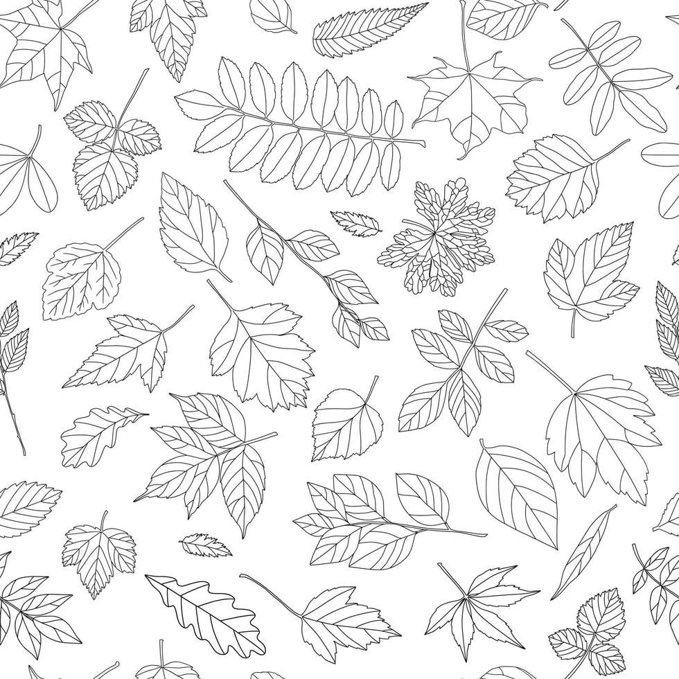 Autumn leaf seamless pattern. Black and white tree leaves print vector