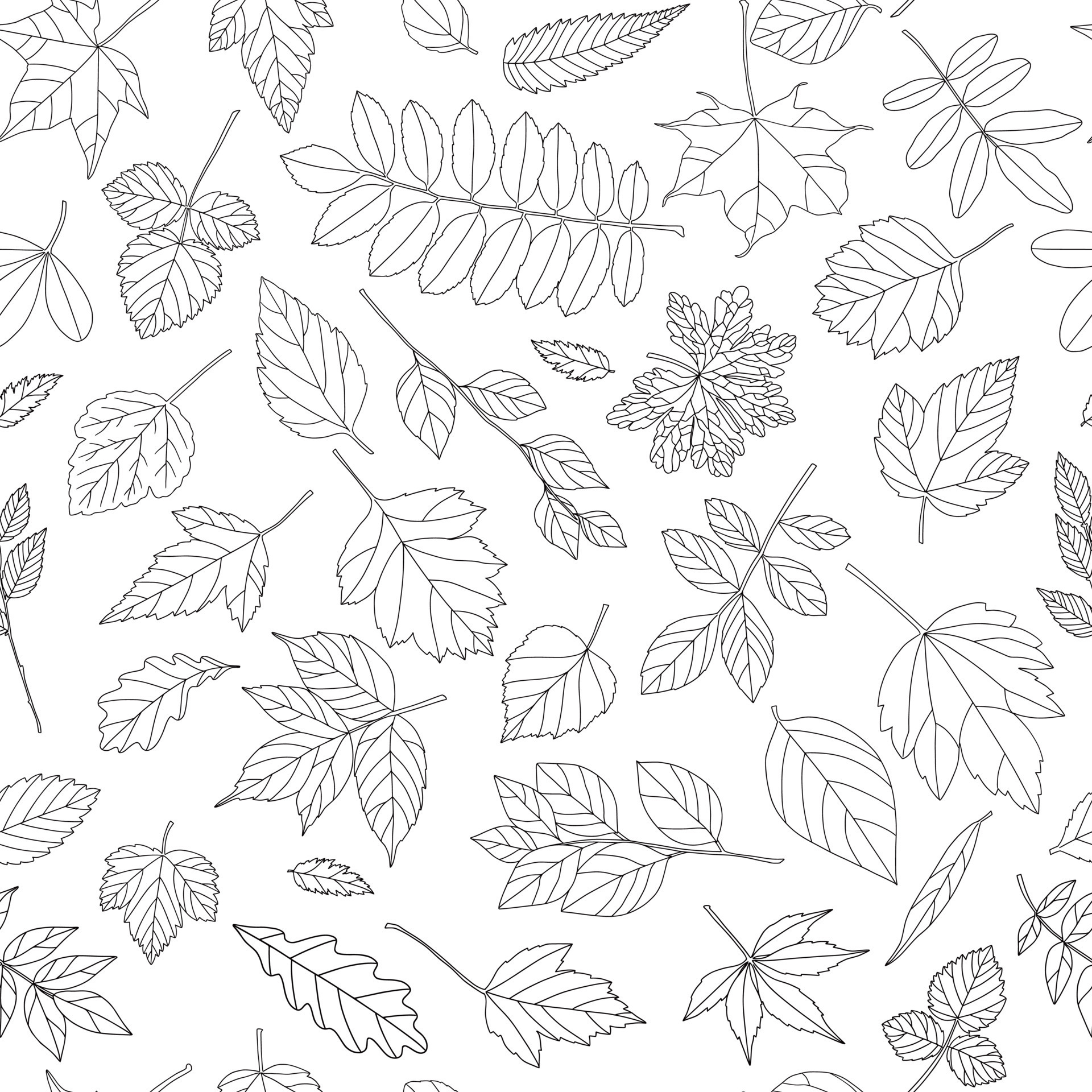 Autumn leaf seamless pattern. Black and white tree leaves print