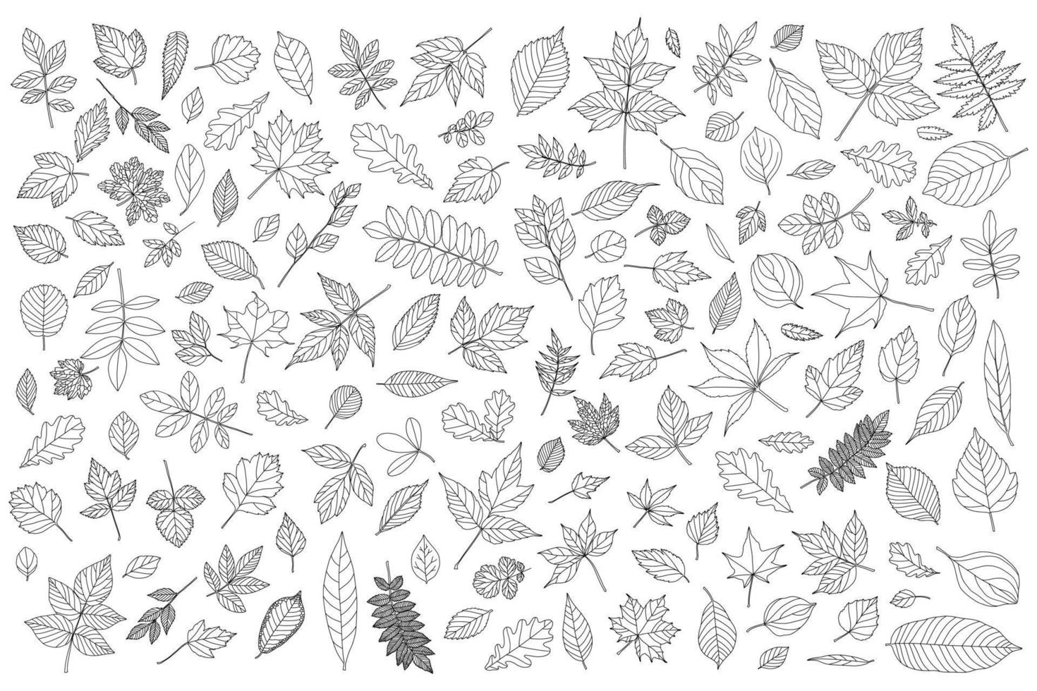 conjunto de hojas de otoño. hojas de árbol de contorno blanco y negro vector