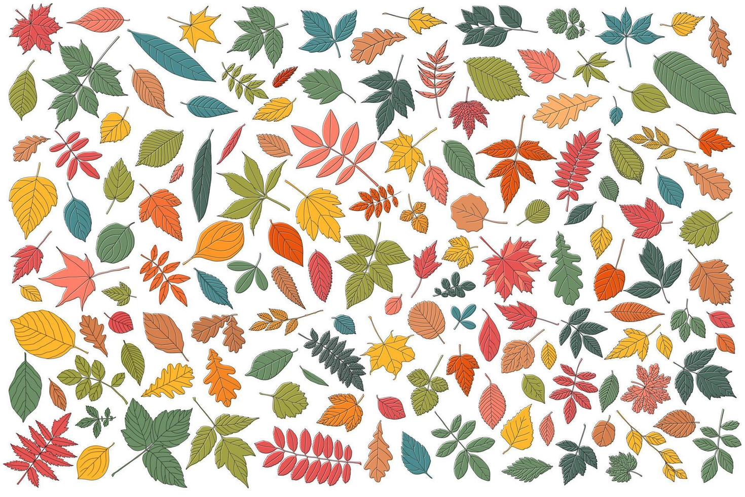 Autumn leaf set. Coloured tree leaves vector