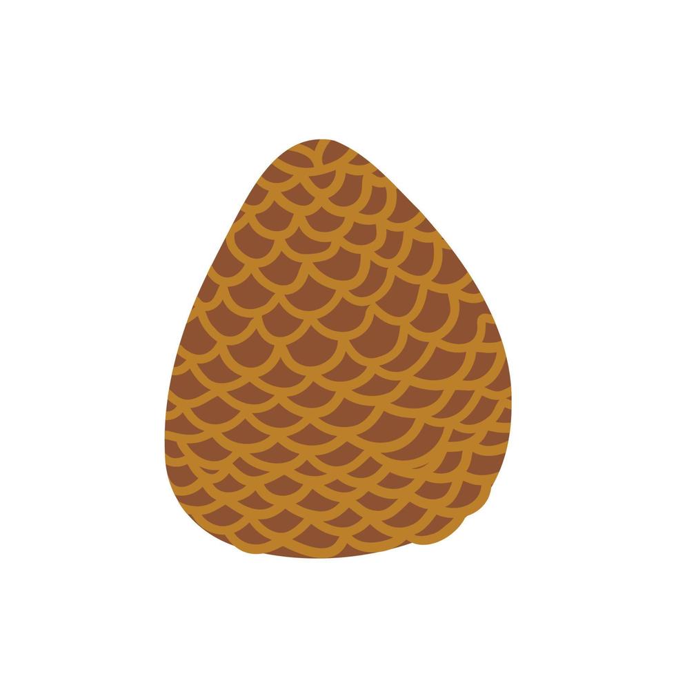 fir cone in flat style drawn by hand. vector children's illustration.