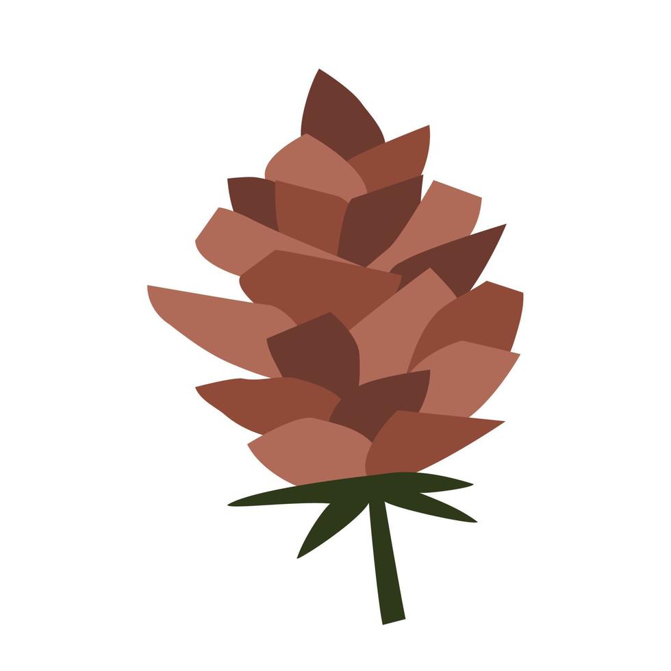 fir cone in flat style drawn by hand. vector children's illustration.
