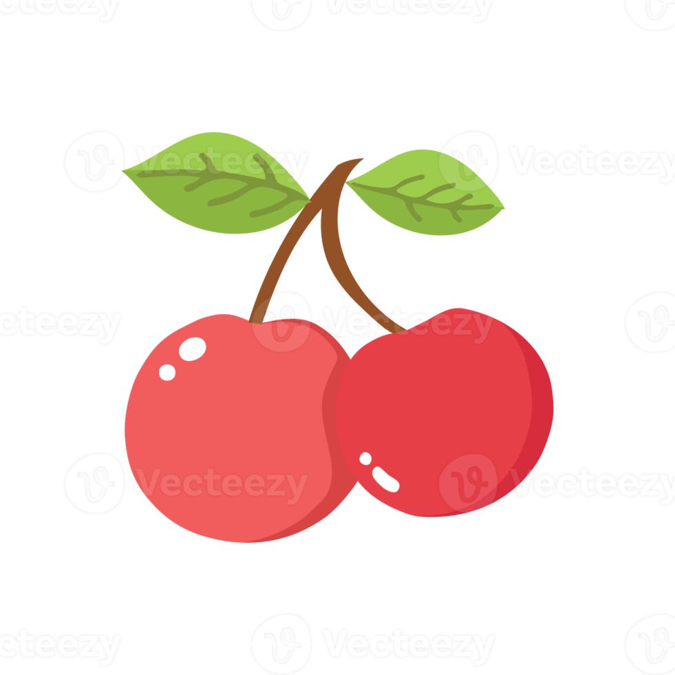 illustrazione 2d di frutta ciliegia png