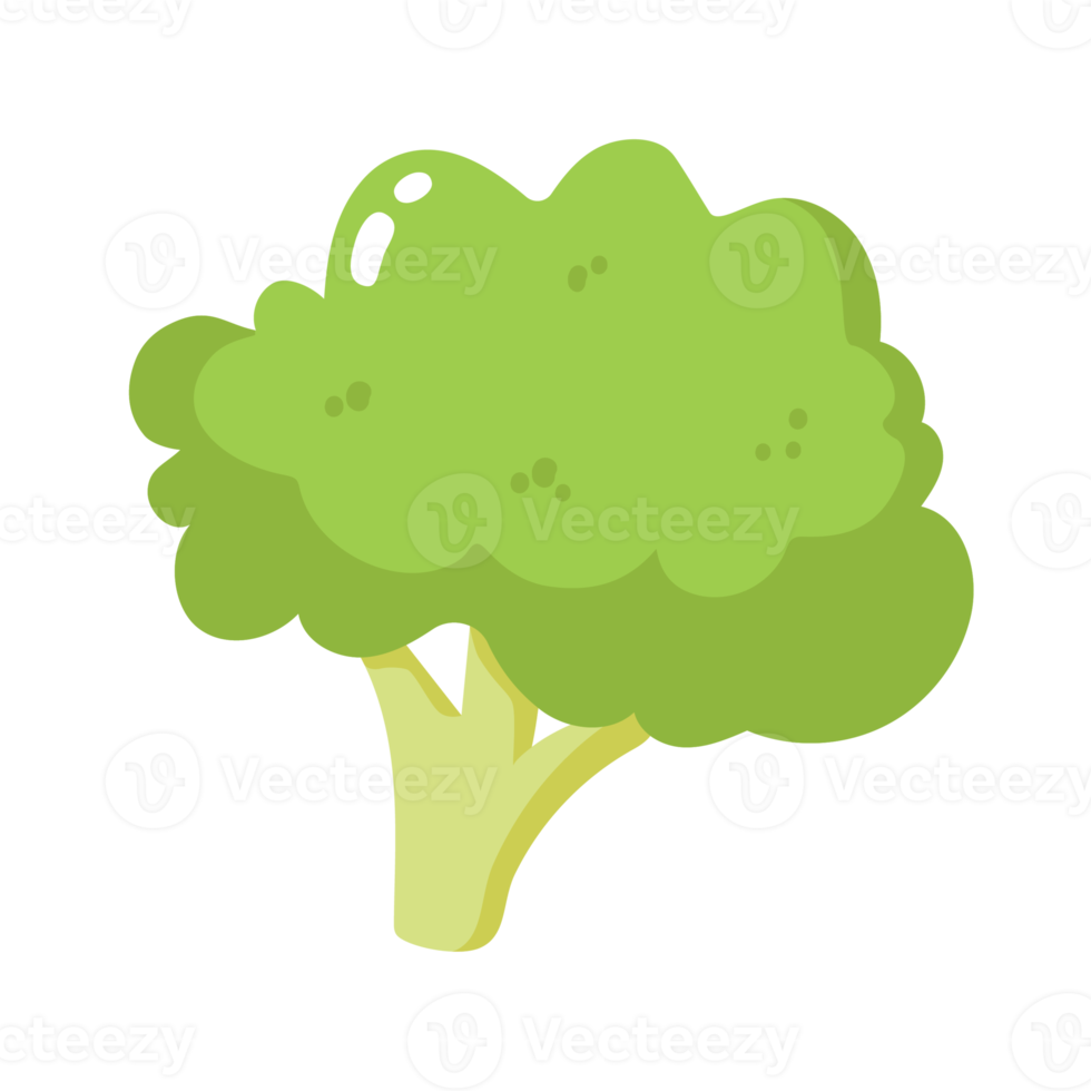 brócoli vegetal 2d ilustración png