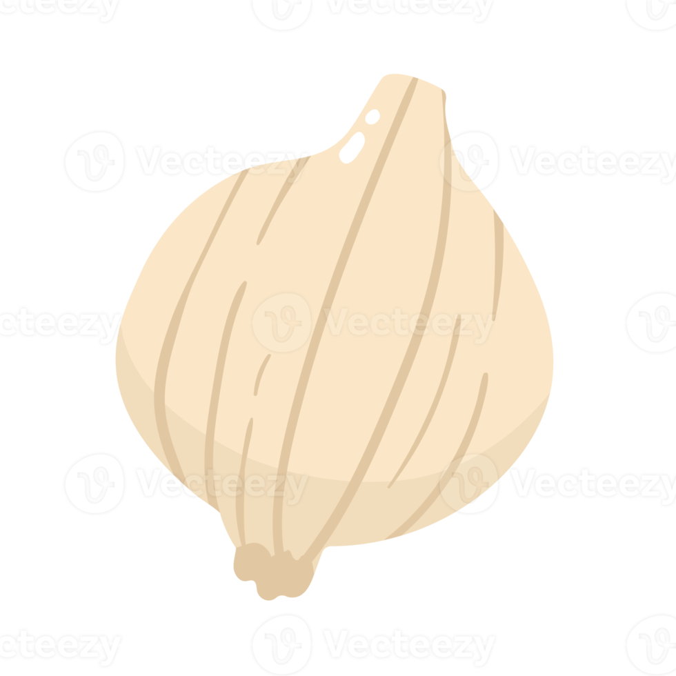 Garlic Vegetable 2D Illustration png