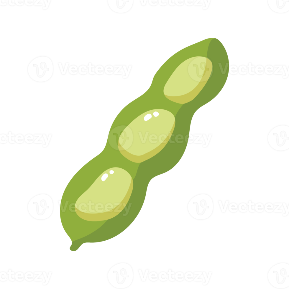 ilustração 2d vegetal de feijão fava png