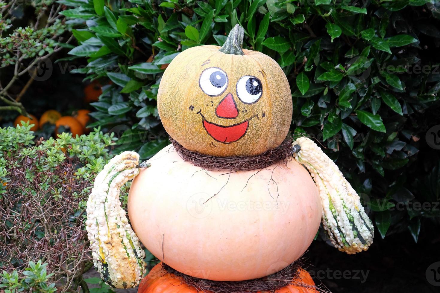 Pumpkins in the german muensterland photo