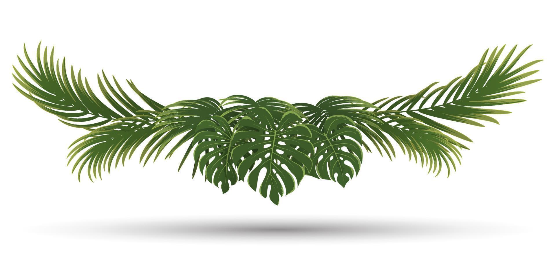 palm leaves frame, green nature leaf border vector