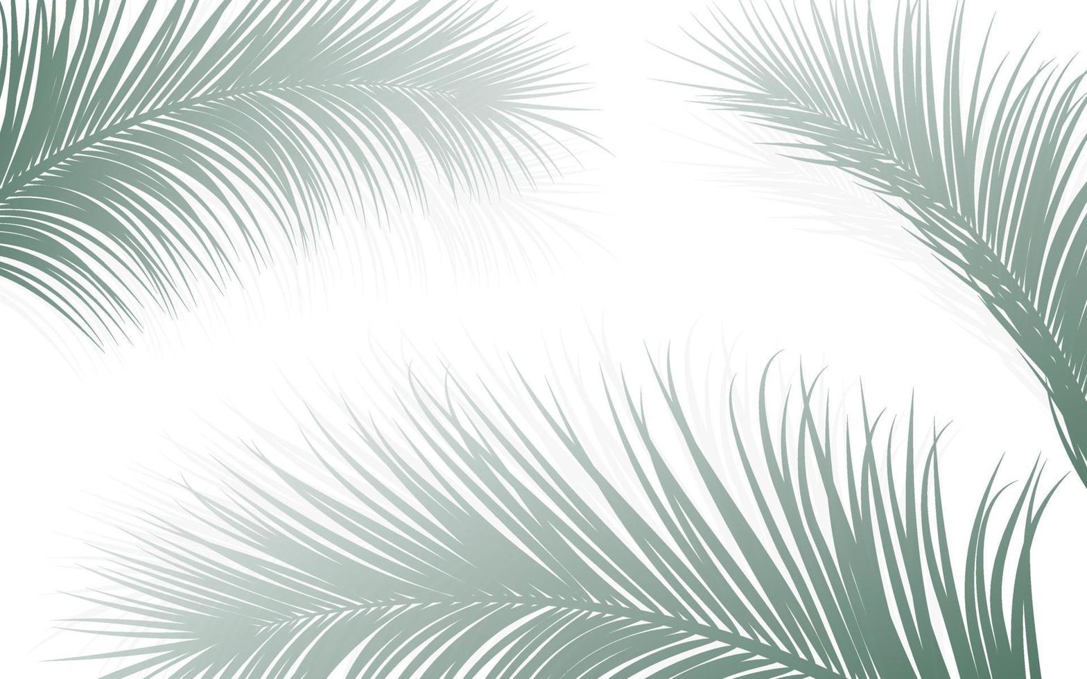 Palm leaf botanical frame vector