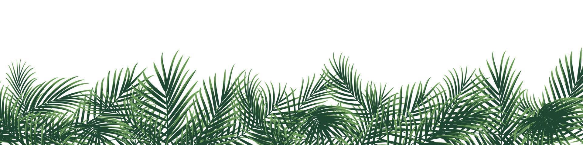 Bright tropical background with palm leaf vector