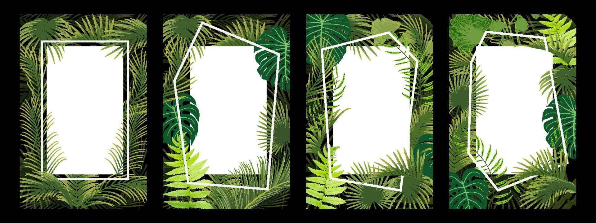 set of frame with tropical leaf vector