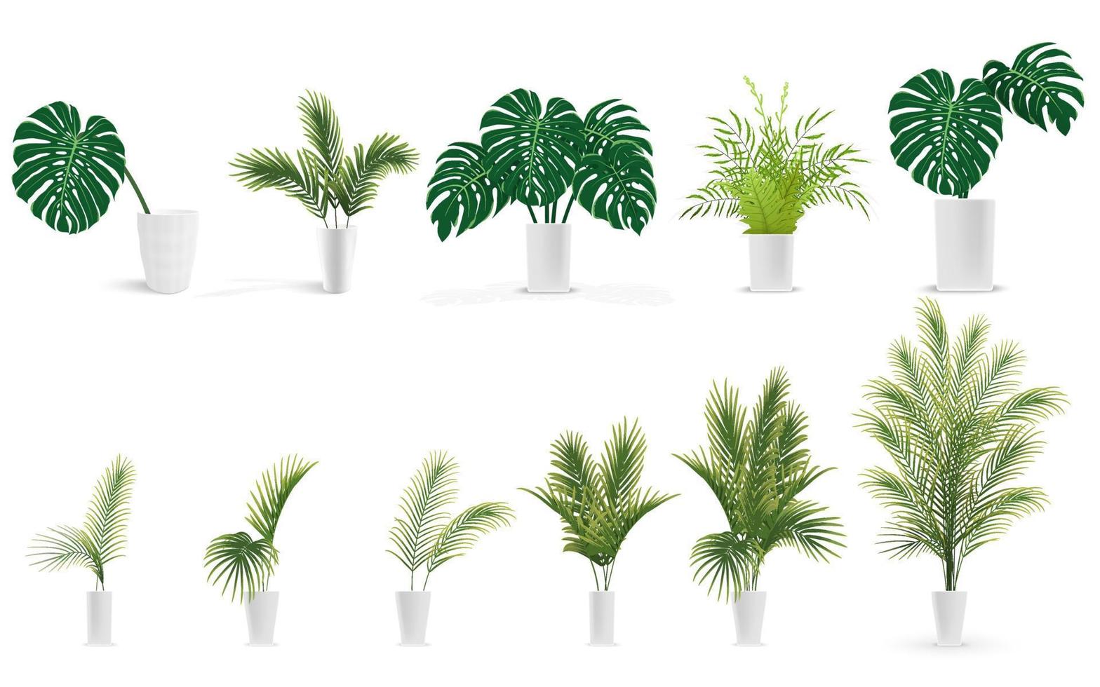 set of plants in vase with monstera, fern, palm vector