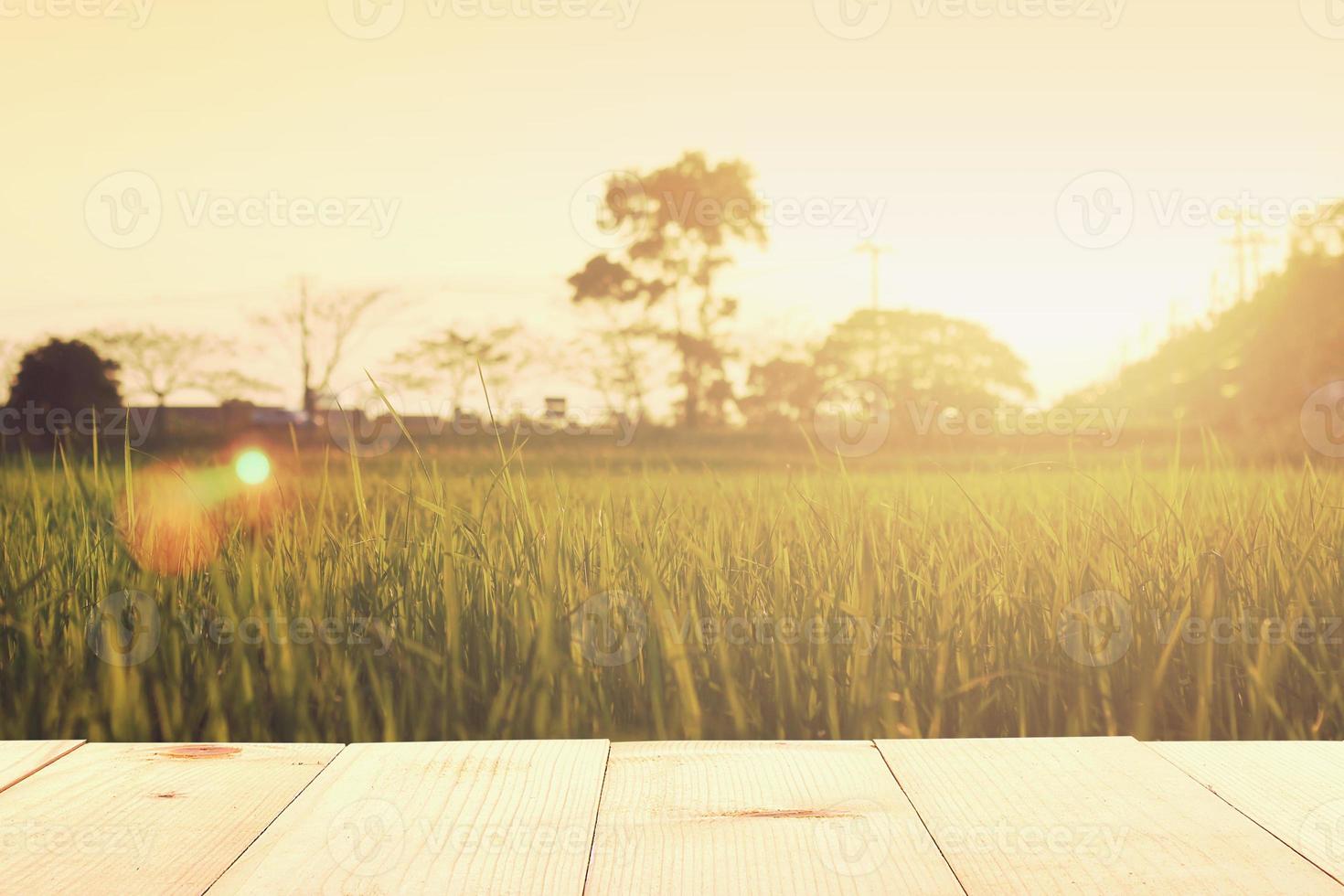 wooden table and meadows at sunrise summer photo