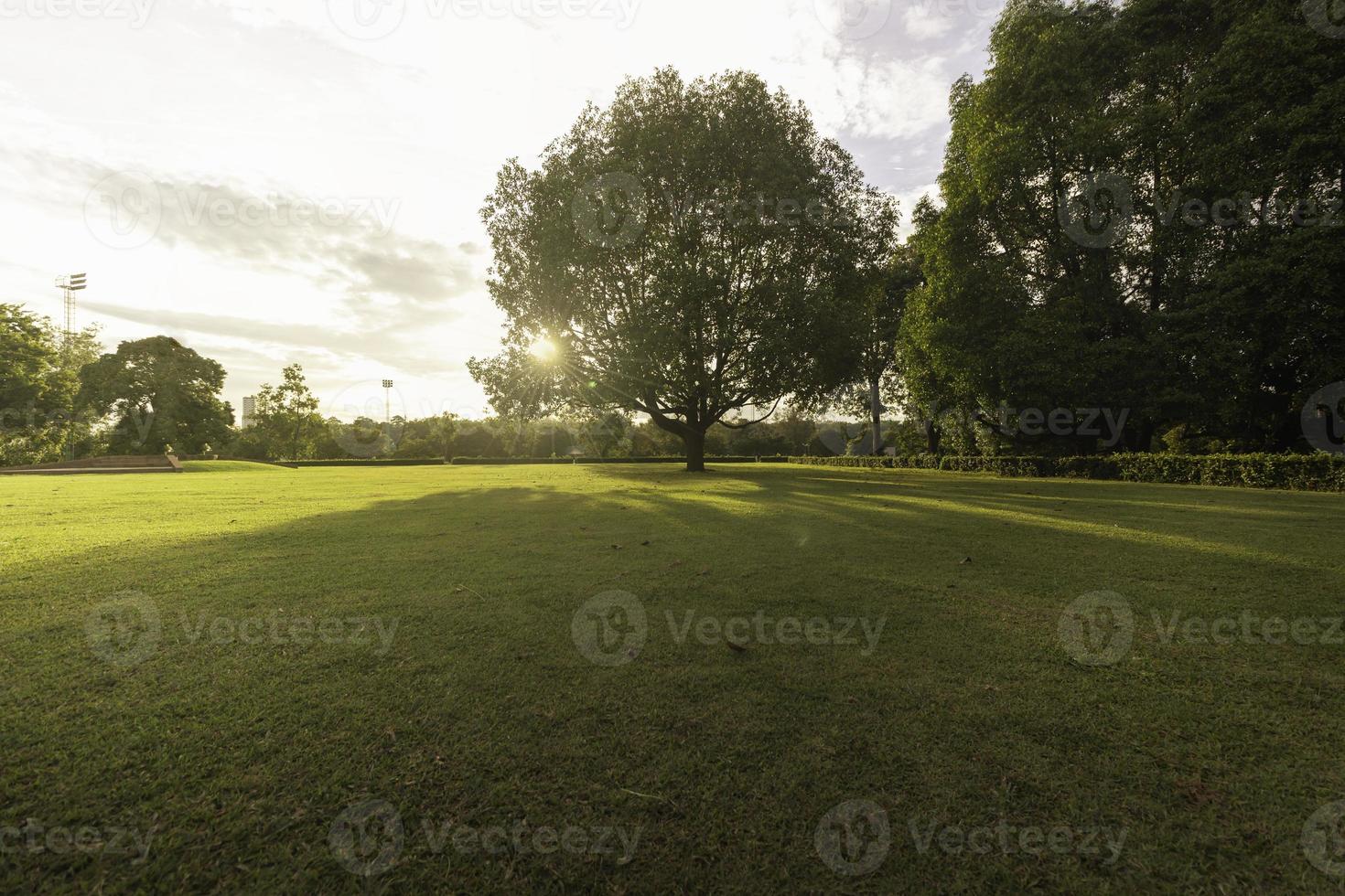 public park at sunrise photo