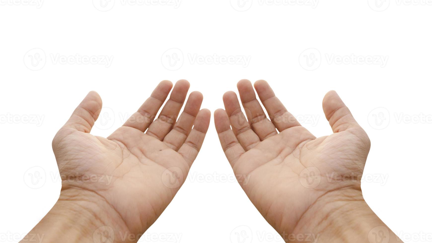 two man hand isolated on white background photo