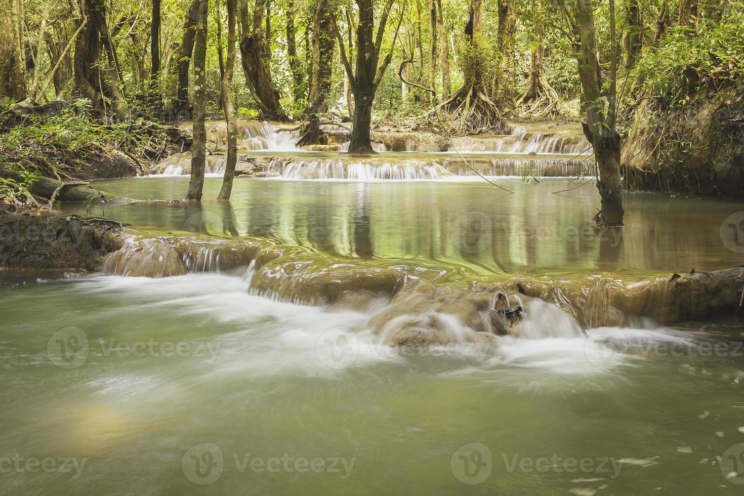 small stream at rainforest photo