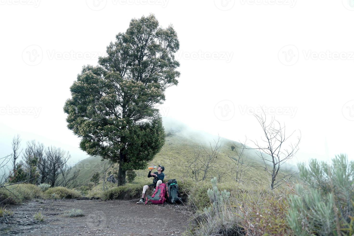 Mountain climber rests beside a tree while drinking photo