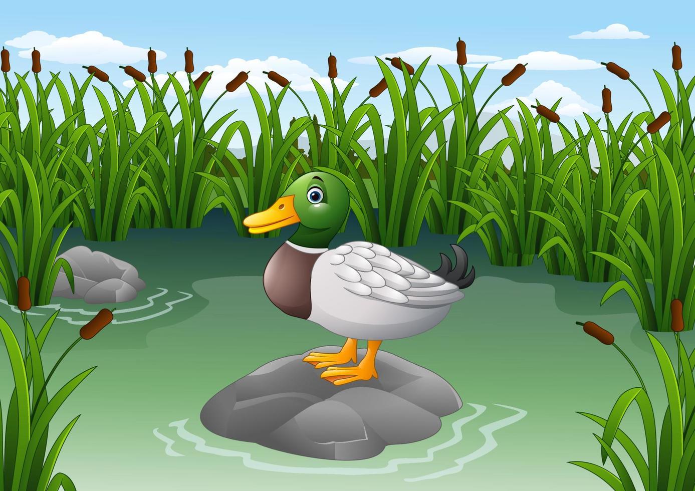 Cartoon wild duck standing on the rock vector